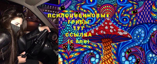гидропоника Мегион