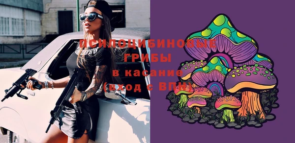 хмурый Абдулино