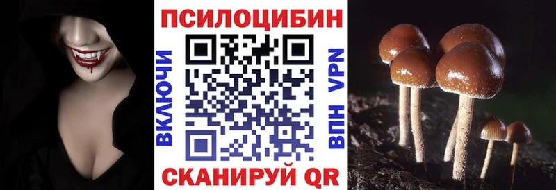 Псилоцибиновые грибы прущие грибы  omg tor  Туапсе 